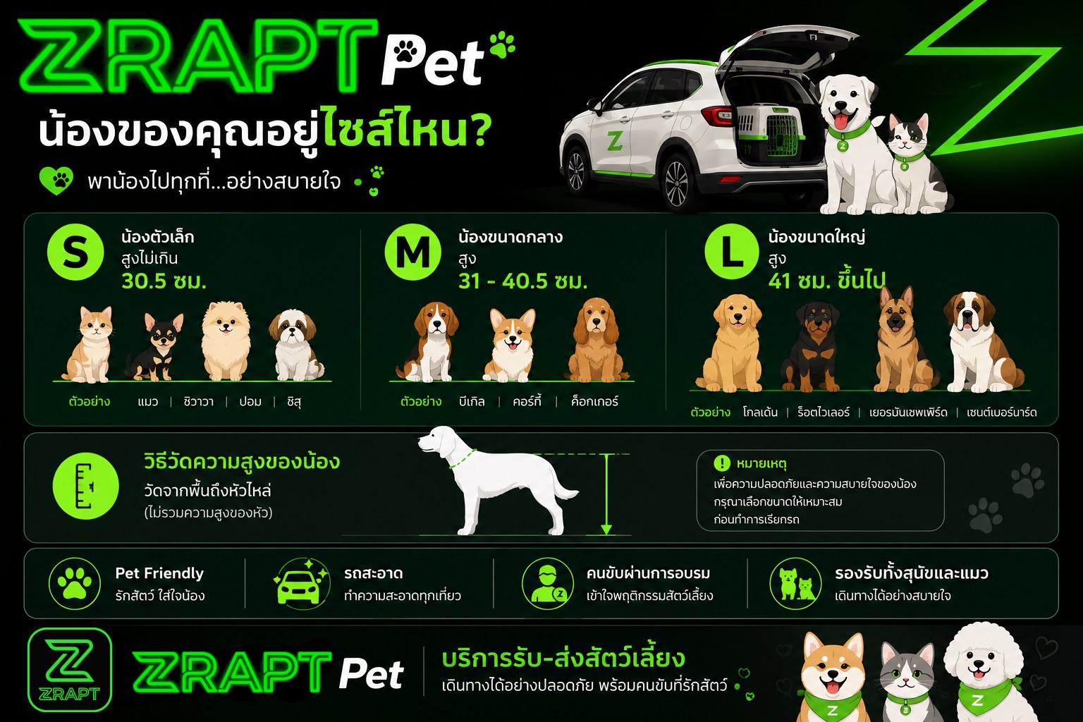 ตารางไซส์สัตว์เลี้ยง ZRAPT Pet · S ไม่เกิน 30.5 ซม. · M 31-40.5 ซม. · L 41 ซม. ขึ้นไป